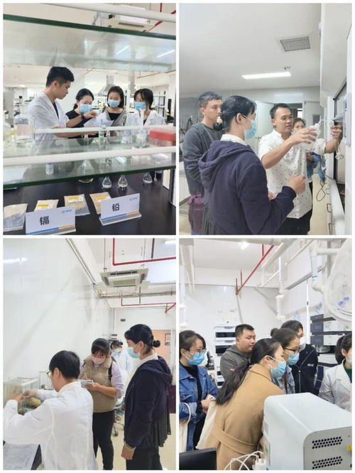 提升專業(yè)技能，守護(hù)食品安全——海南省食品安全協(xié)會成功舉辦2024年度食品檢驗員職業(yè)技能培訓(xùn)班